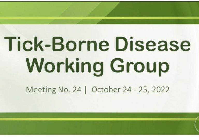 Summary of Oct. 24 TBD Working Group meeting, in tweets
