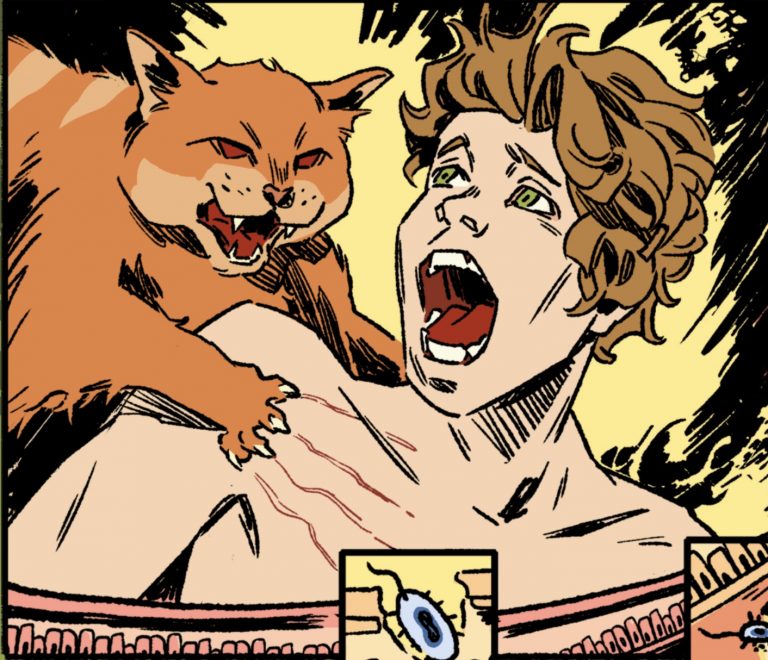 Swamp boy: A story about Bartonella and mental illness