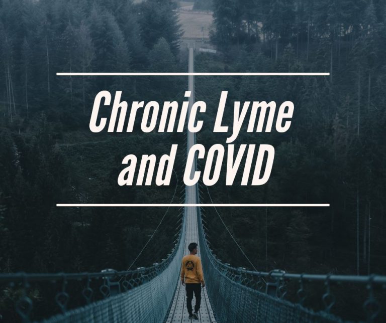 Surveying the interrelationship between Lyme disease and COVID-19