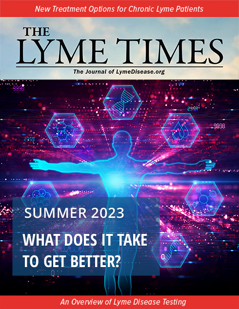 THE LYME TIMES: What does it take to get better?