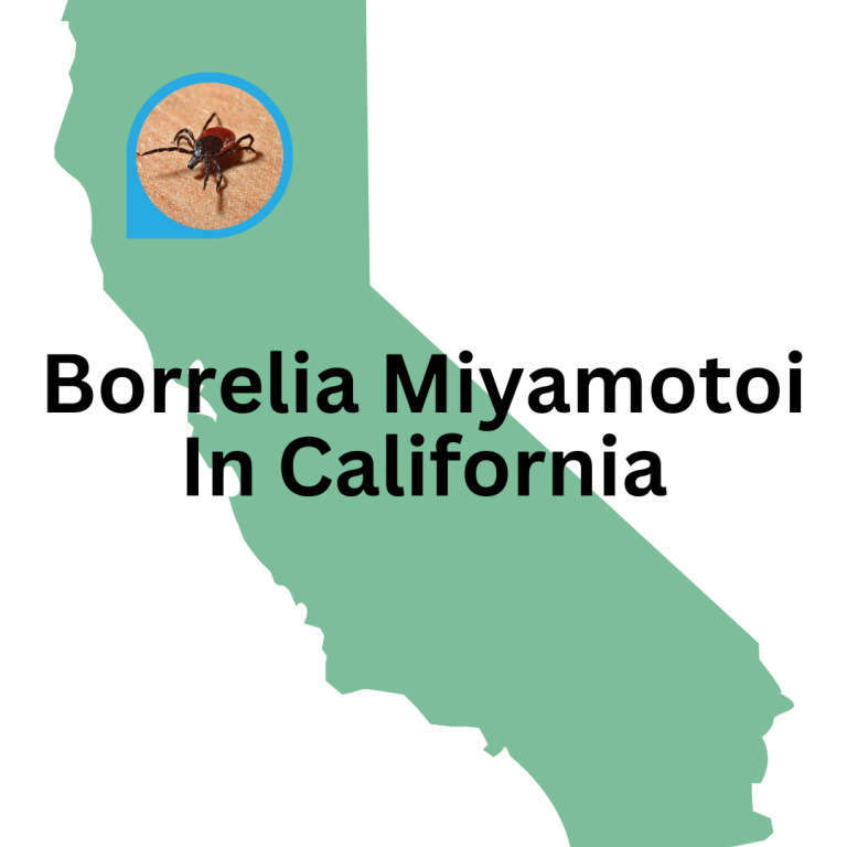 California’s first CDC-confirmed case of Borrelia miyamotoi