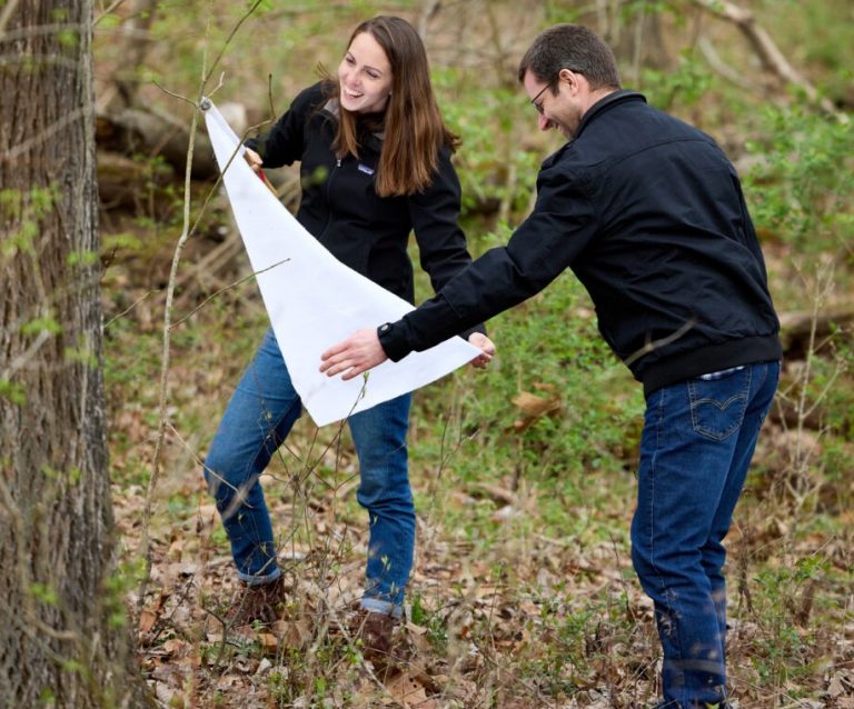 Tick-borne Bourbon virus may have already infected many in St. Louis area