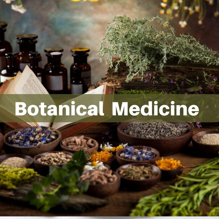 Using herbs to treat Lyme disease, Bartonella, and Babesia