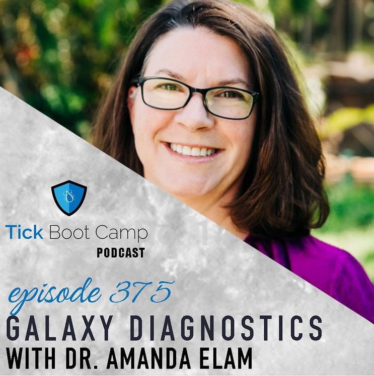 PODCAST: The thorny issue of diagnosing tick-borne diseases