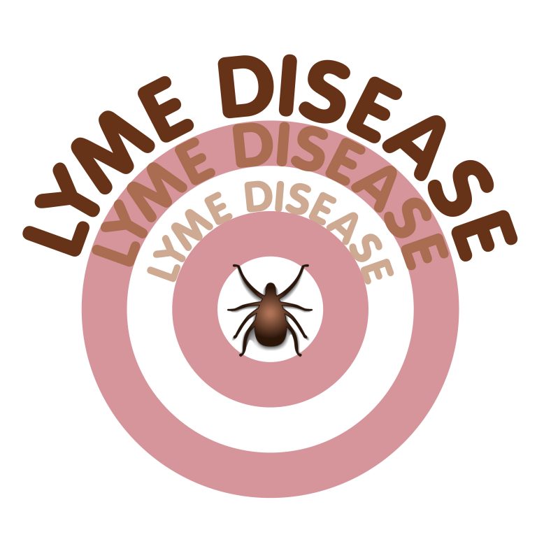 Salon.com looks at the plight of chronic Lyme patients