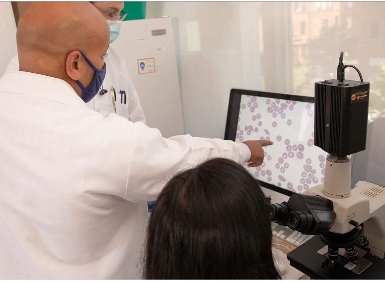 Researchers say combo therapy eliminates babesiosis in mice