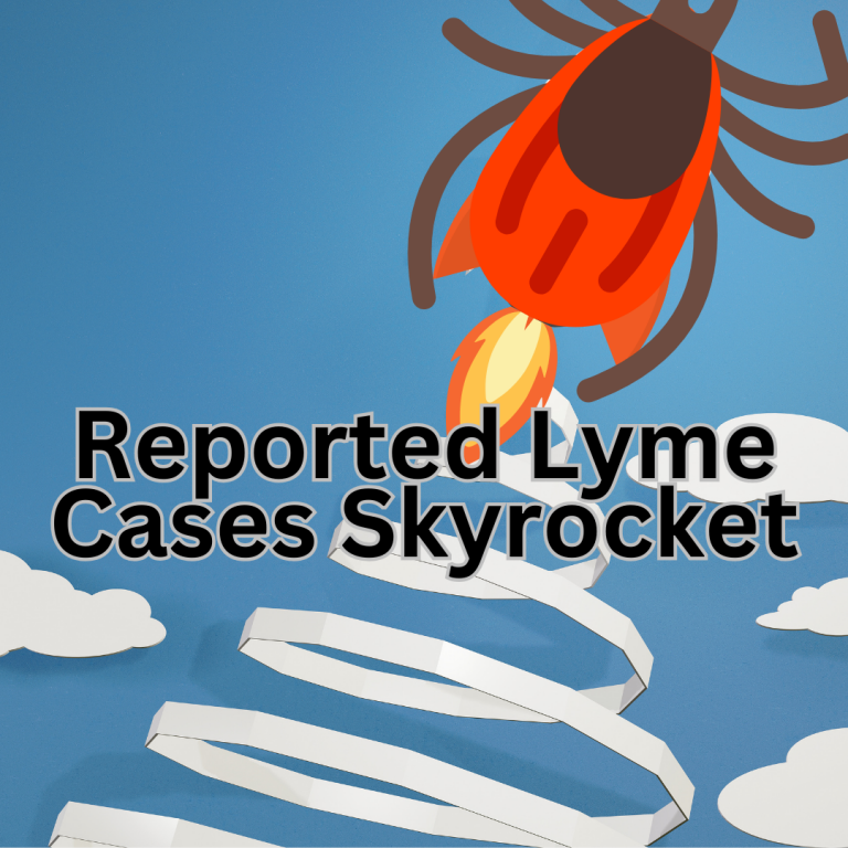 True number of Lyme disease cases? We may never know.