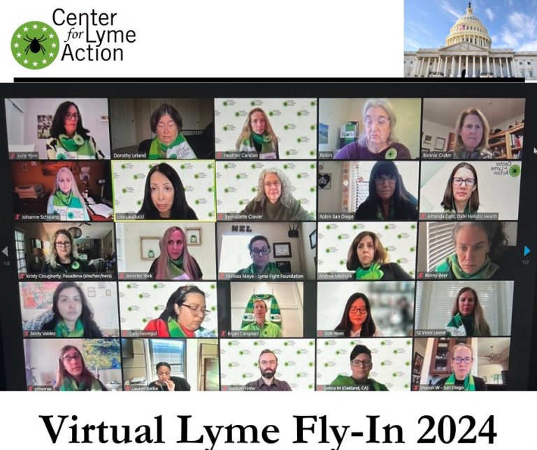 Zooming with Congress for more Lyme funding