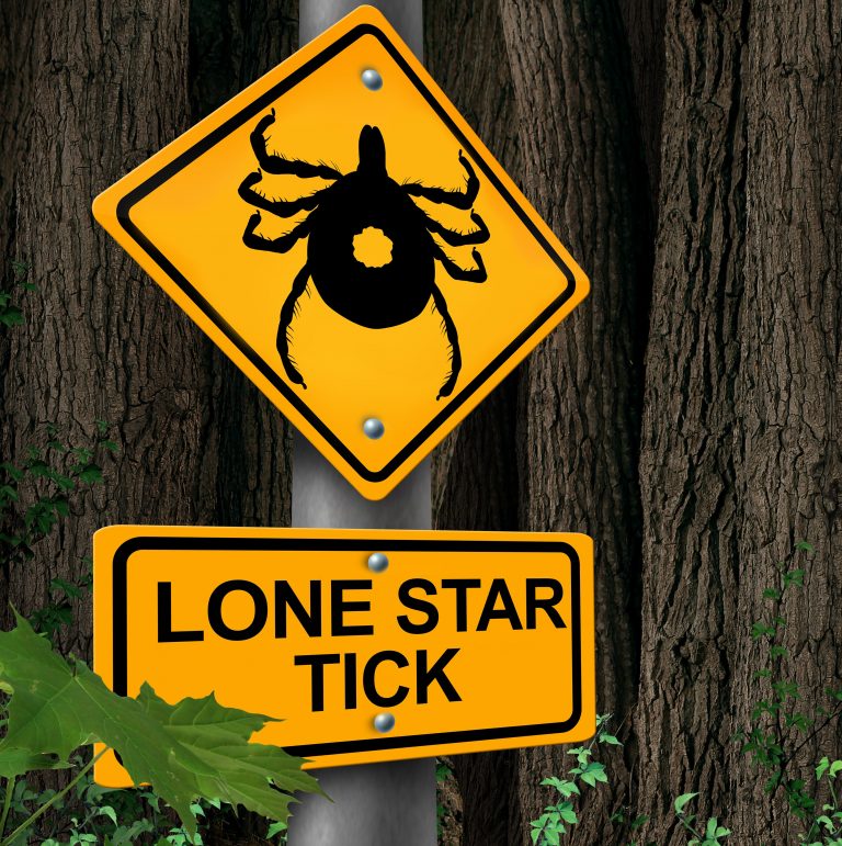 Proposed bill calls for greater monitoring of alpha-gal syndrome