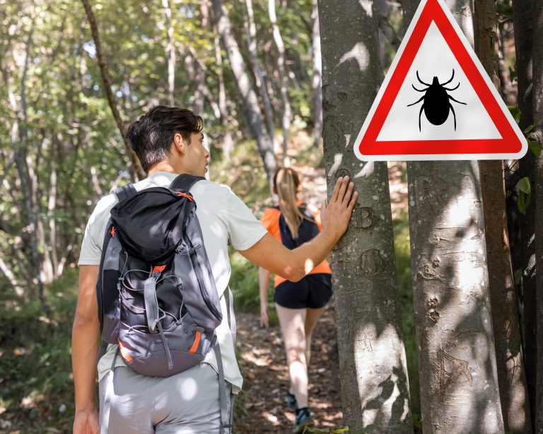 Sharp rise in Lyme cases due to change in how they are reported