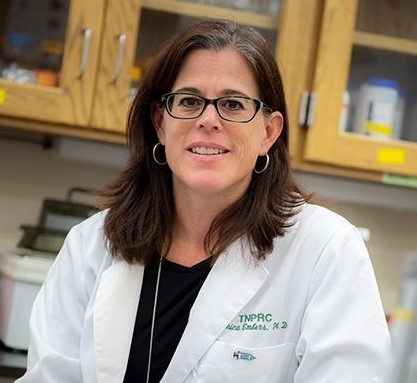 Combinations of antibiotics can eradicate Lyme in mice