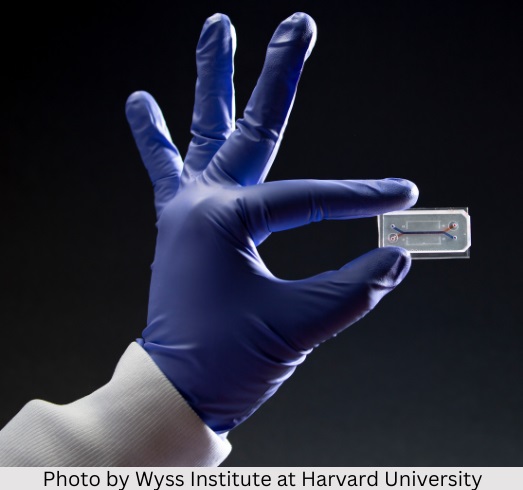 Lyme patients: Your blood could hold the key to chronic Lyme