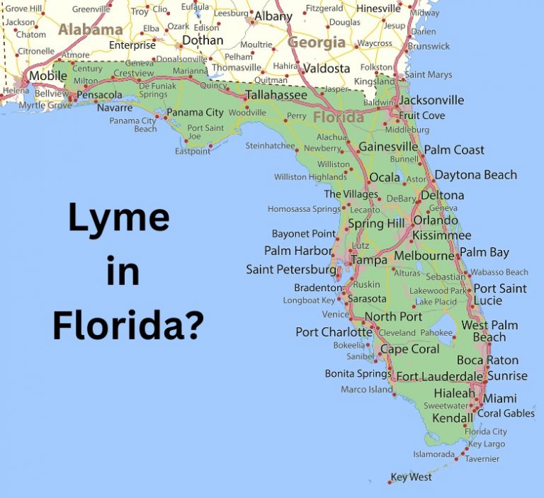 Florida undercounts Lyme disease and downplays its risk