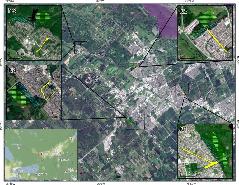 Researchers study ticks in Ottawa where houses border the woods