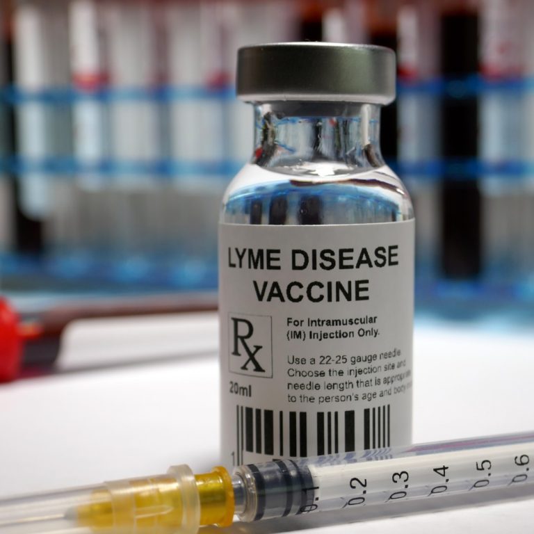 Answers to some–not all–of our questions about upcoming Lyme vaccine