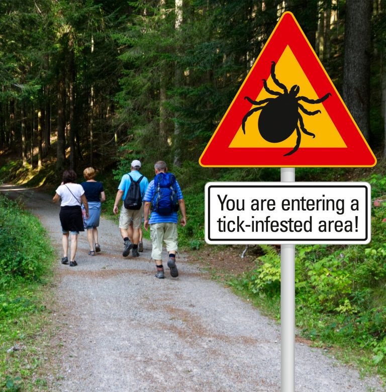 MEDICAL DETECTIVE #2: How to recognize Lyme through symptoms alone