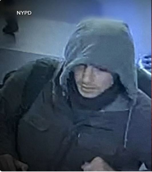 Questioning the role of Lyme disease in the case of Luigi Mangione