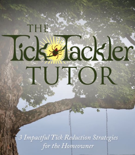 How to tick-proof your home and reclaim the use of your yard