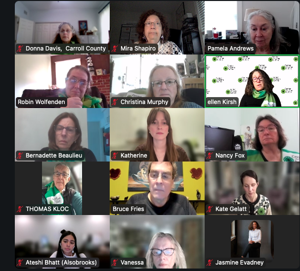 That’s a wrap for the 2025 Virtual Lyme Fly-in