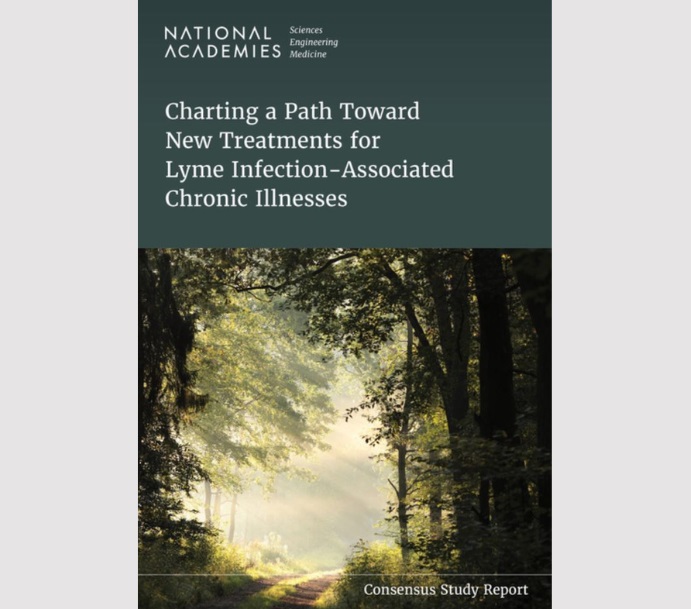 Charting a path towards new treatments for chronic Lyme disease