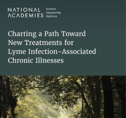 Prioritize chronic Lyme treatment now, not later, says report