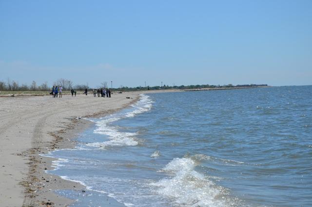 Tick threat shuts down Connecticut beach for the season