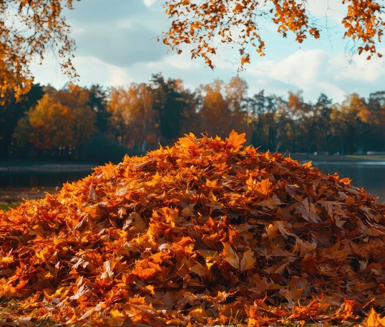 A mother’s story: the nightmare in the leaf pile