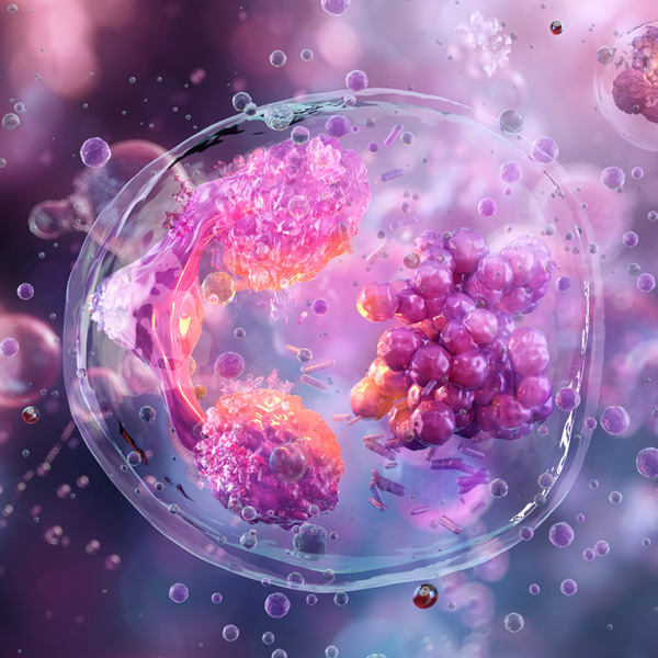 Lyme disease co-infections anaplasmosis