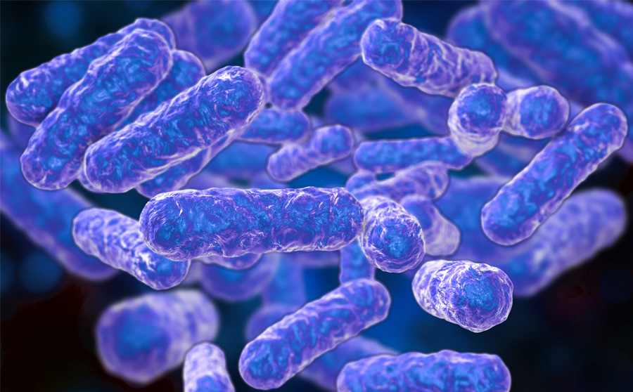 Bartonella - An Overlooked Co-Infection