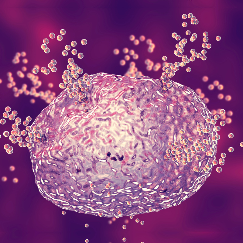overreaction of mast cells