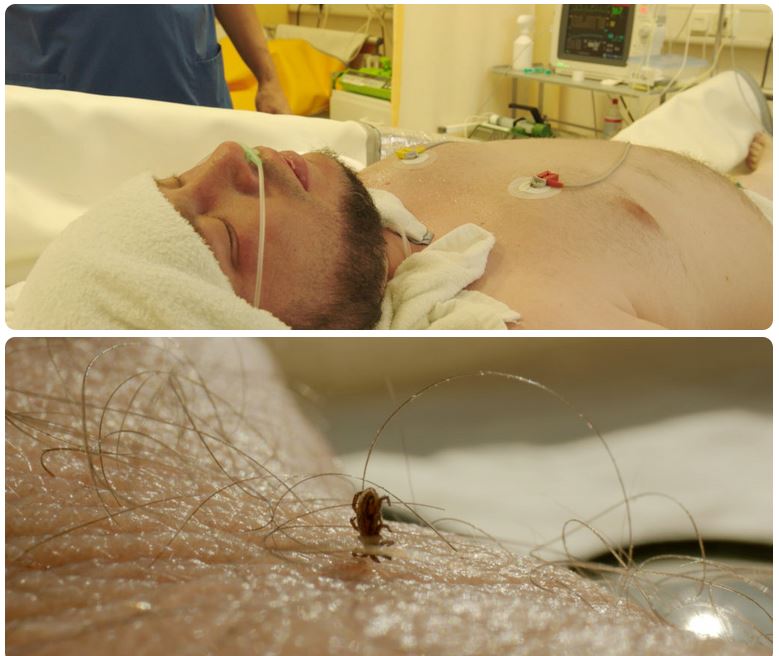 Poster for the Lyme disease documentary The Red Ring
